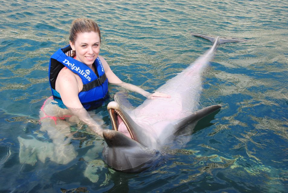 Punta Cana Dolphin Discovery - Experience Details