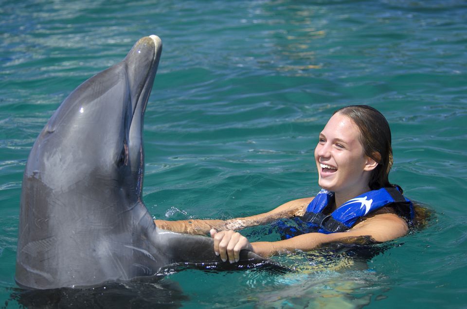 Punta Cana: Dolphin Explorer Swims and Interactions - Booking Information and Reservations