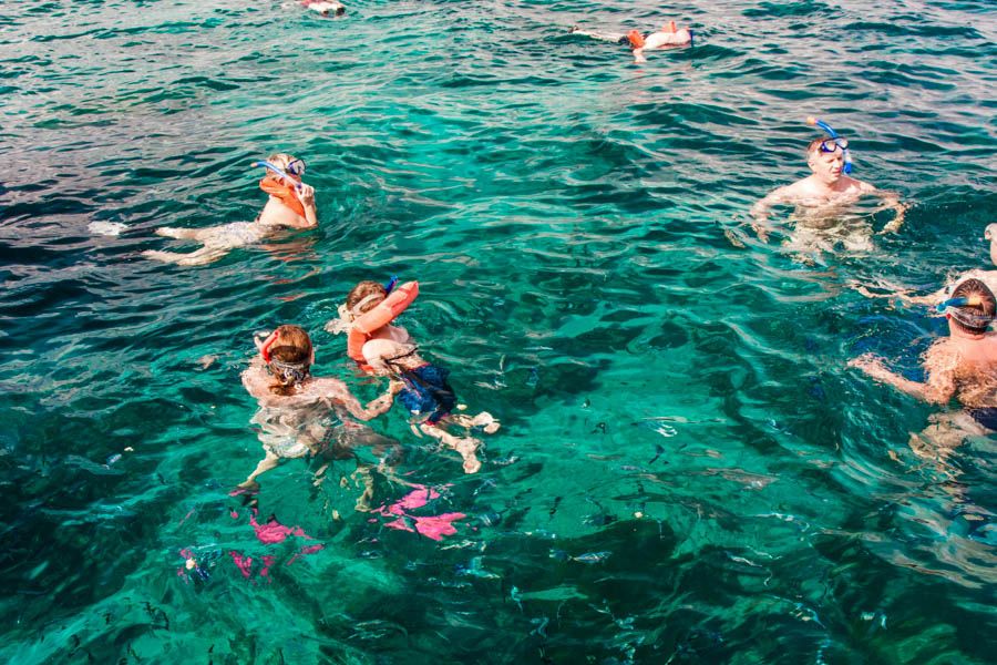 Punta Cana: Full-Day Snorkeling Tour to Catalina Island - Experience Highlights