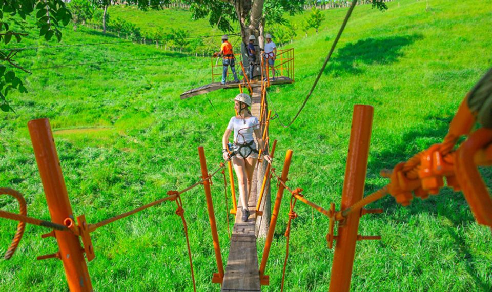 Punta Cana: Half Day Tour Zip Line - Experience Highlights