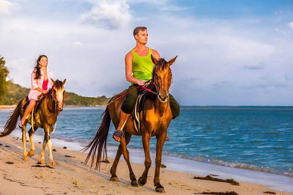 Punta Cana: Macao Beach Tour on Horseback With Transfers - Tour Highlights