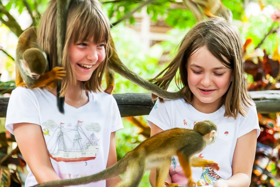 Punta Cana: Monkey Land Half-Day Safari and Plantation - Experience Highlights