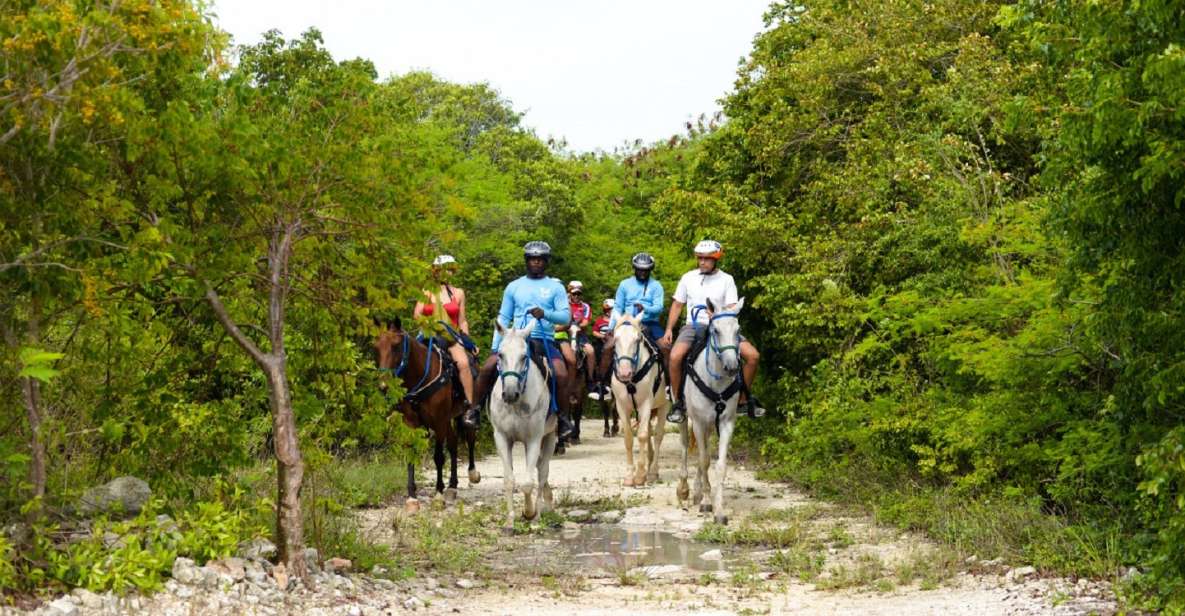 Punta Cana: Swim With Horses Guided Horseback Tour - How to Book Your Experience