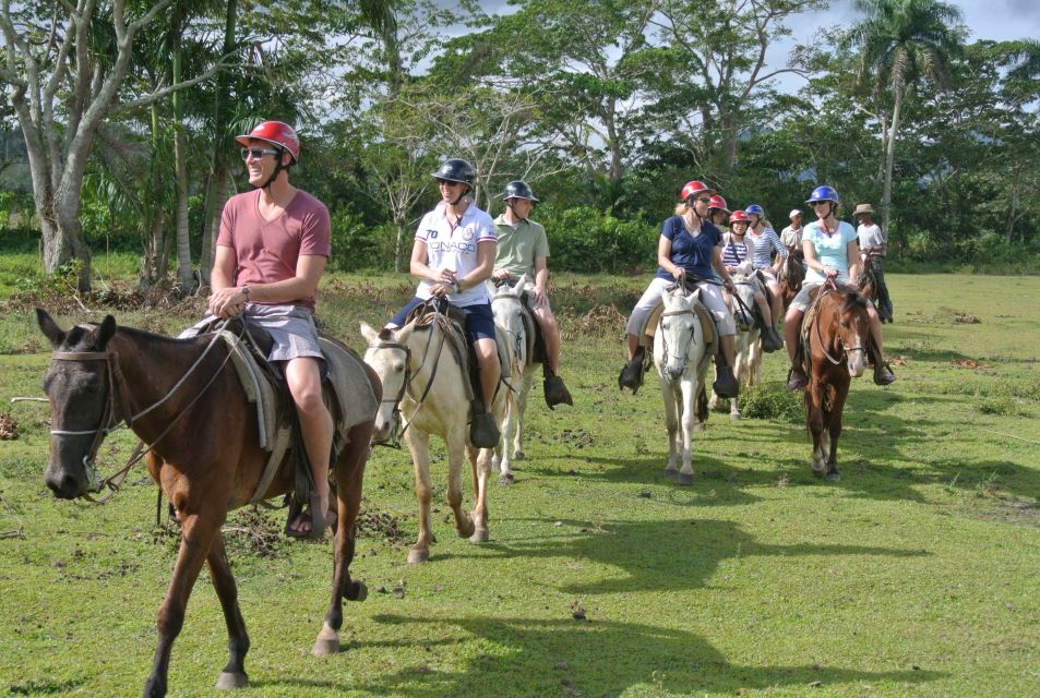 Punta Cana:Horseback Riding on the Beach - Reservation Options