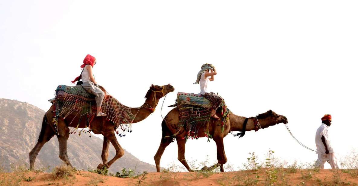 Pushkar Day Trip With Camel Safari From Jaipur by Car. - Highlights
