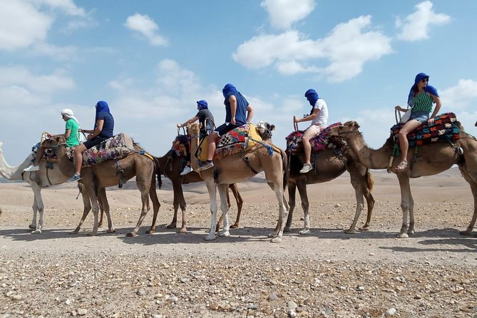 Quad Bike & Camel Ride Agafay & Dinner at Chouf L'Or Restaurant - Operator Information