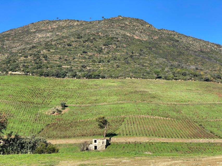 Quinta Dos Murças: Train, Walking, Lunch and Wine Tasting - Itinerary Overview