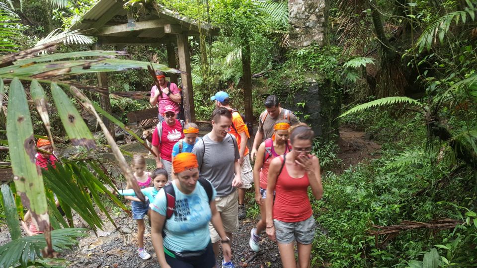 Rainforest Hike and Beach - Booking Information