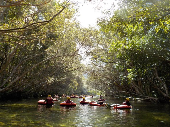 Rainforest River Tubing From Cairns - Customer Feedback and Reviews