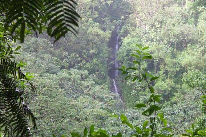 Rainforest Waterfall Trail and Shuttle Service - Cancellation Policy Overview