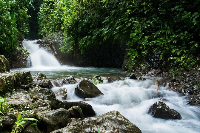 Rainmaker Park Hanging Bridges & Waterfalls Tour With Jade Tours - Important Details