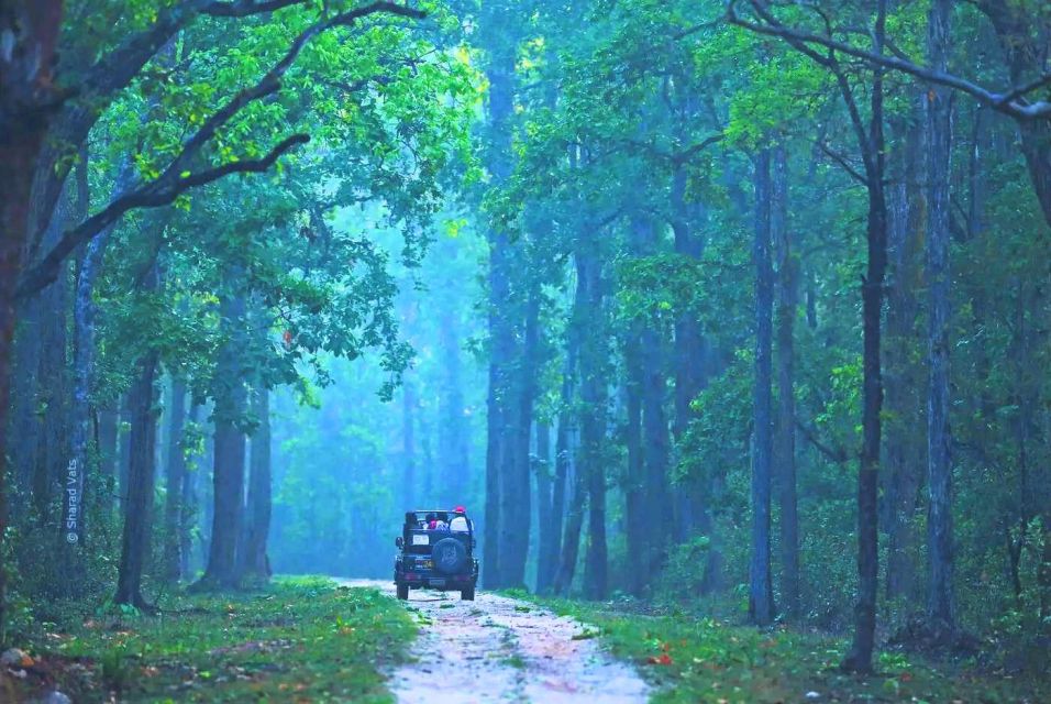 Rajasthan: Ranthambore National Park Private Jeep Safari - Safari Highlights