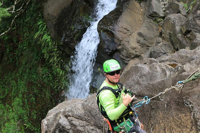 Rappel Maui Waterfalls and Rainforest Cliffs - Experience Overview