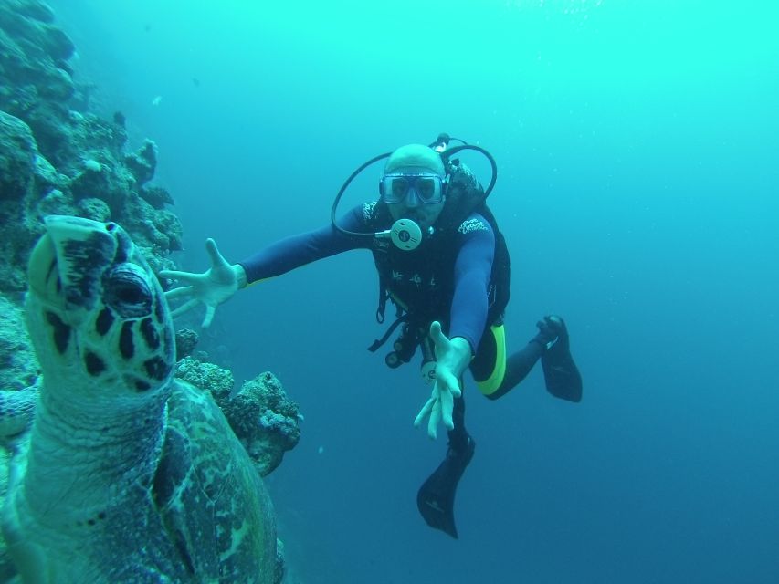 Ras Muhammad National Park: Diving Boat Trip From Sharm - Activity Highlights at Ras Muhammad Park