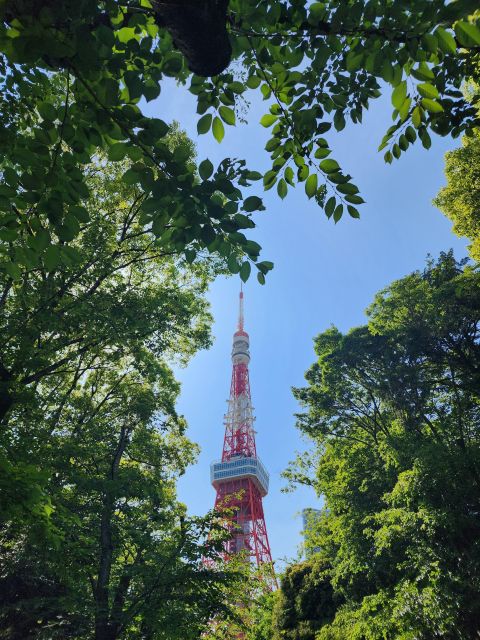 Real Tokyo in One Day With a Local - Immerse in Japanese Daily Life