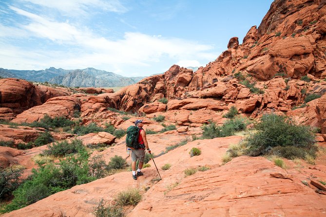 Red Rock Canyon Hiking Tour - Traveler Benefits