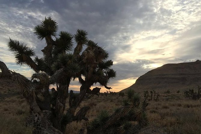 Red Rock Canyon Sunset Horseback Ride and Barbeque - Logistics and Confirmation