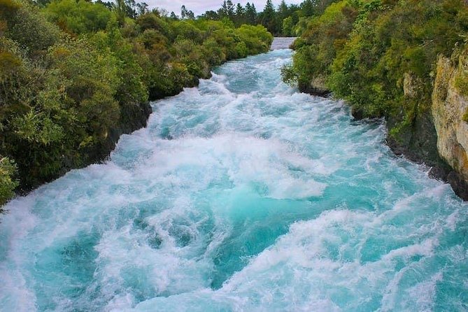 Redwood Forest , Blue Springs & Huka Falls Day Tour From Auckland - Traveler Photography Experience