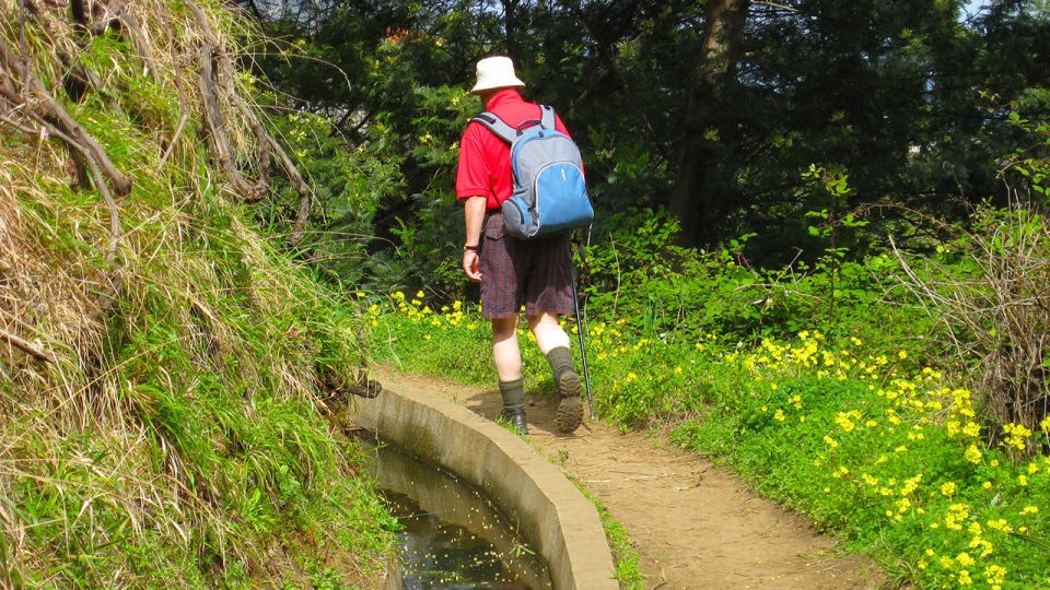 Referta / Castelejo - Levada Walk - Flora and Fauna Highlights