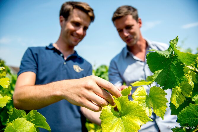 Reims Afternoon Tour Champagne and Family Growers - Customer Reviews and Feedback