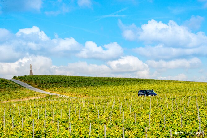 Reims or Epernay Region: Half Day Private Tour Minivan and Driver at Disposal - Booking Information