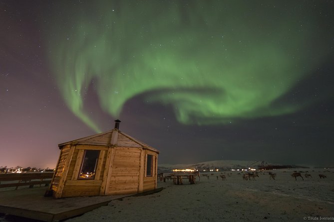 Reindeer Camp Dinner With Chance of Northern Lights in Tromso - Explore Reindeer Camp and Dinner