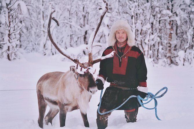 Reindeer Sledding and Feeding With Sami Culture in Tromso. - Activity Experience
