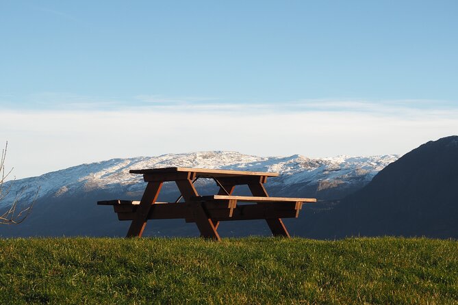 Relaxed Day Trip to Hardanger Fjord With Waffles and Coffee Incl. - Coffee Break With a View