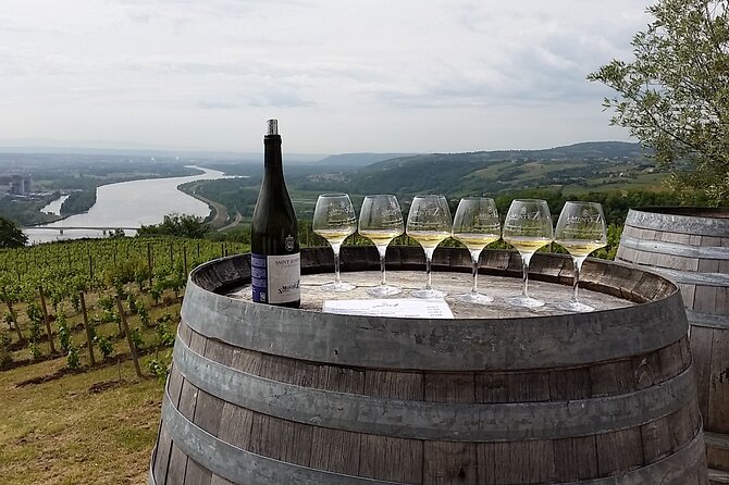 Rhône Valley Wine Tasting Private Day Tour From Lyon - Wine Tasting Experiences