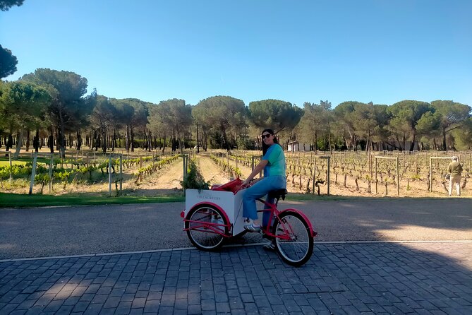 Ribera Del Duero 1 Day Wine Tour in English - Wine Tasting Experiences