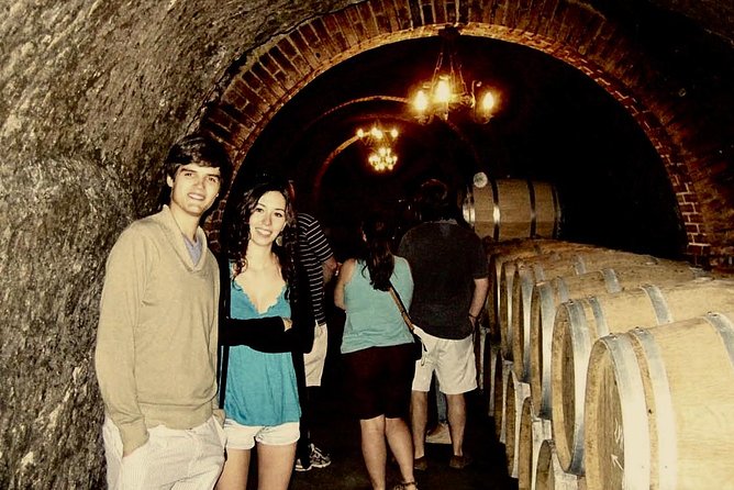 Ribera Del Duero Winery Guided Tour and Wine Tasting From Madrid - Tour Highlights