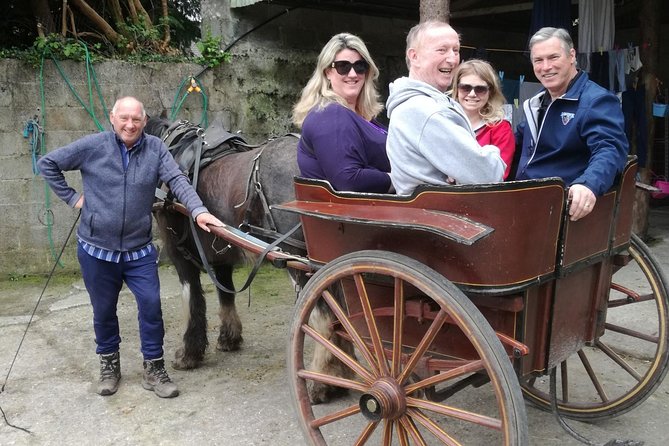 Ring of Kerry Tour Private Chauffeur Driven From Killarney Luxury - Booking Information