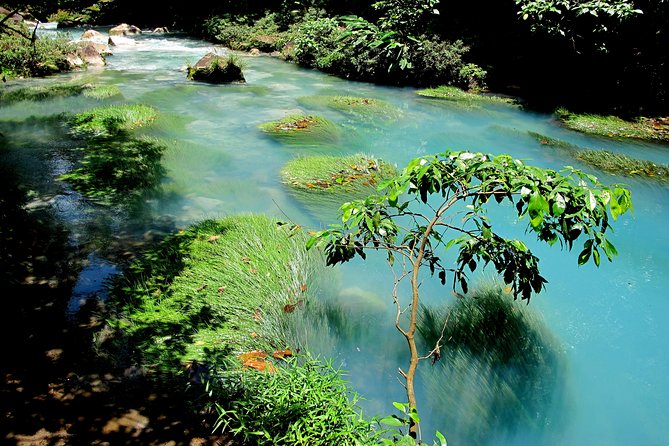 Rio Celeste Full-Day Tour From La Fortuna - Cancellation Policy