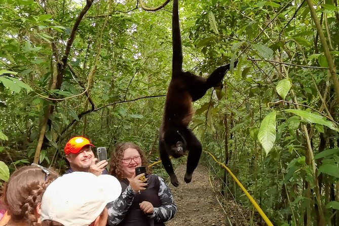 Rio Celeste, Waterfalls, Rain Forest Volcanoes and Sloth Habitat Private Tour - Additional Info