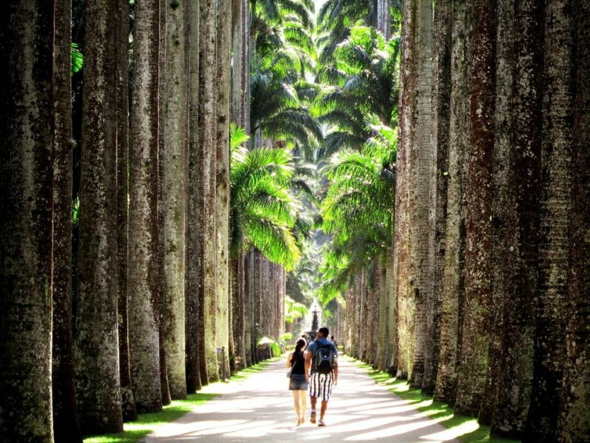 Rio De Janeiro: Botanical Garden Guided Tour & Parque Lage - Experience Highlights