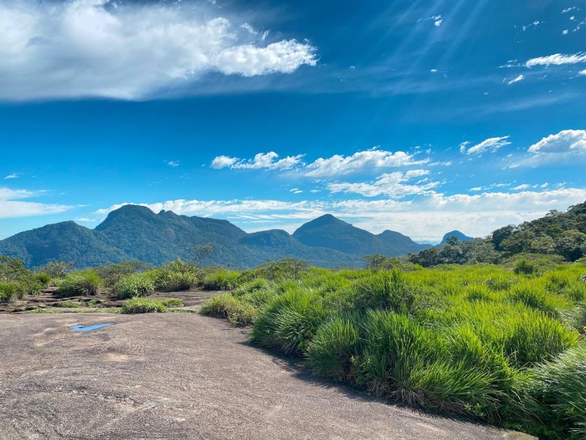 Rio De Janeiro: Pedra Bonita Trail and Taunay Waterfall - Highlights of the Tour