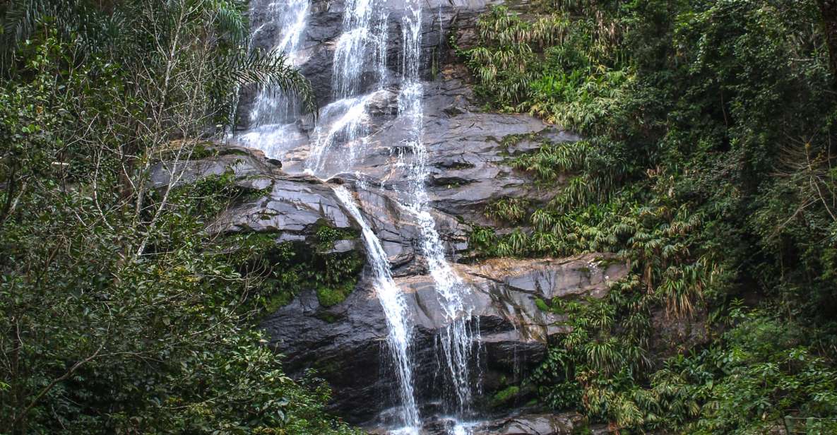 Rio De Janeiro: Tijuca Forest Waterfall of Souls Hike - Experience Description
