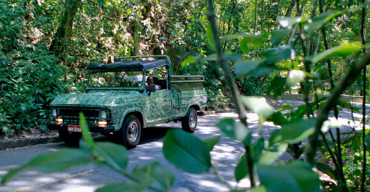 Rio: Jeep Tour With Tijuca Rain Forest and Santa Teresa - Participant Information
