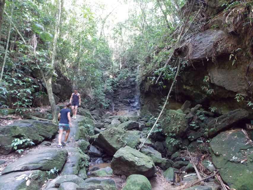 Rio: Tijuca Forest & Horto Waterfalls Circuit Tour - Booking Details