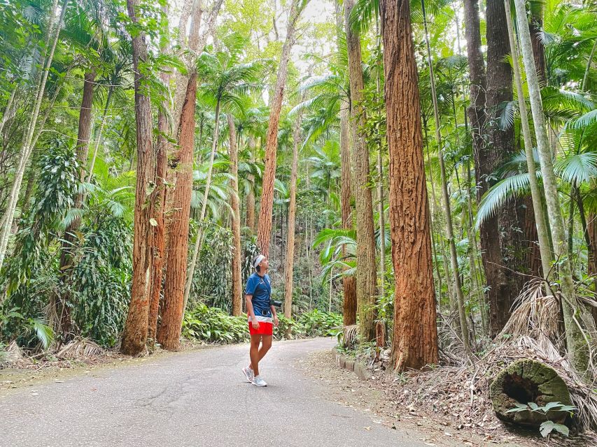 Rio: Tijuca National Park Caves and Waterfall Hiking Tour - Multilingual Guides and Pickup Locations