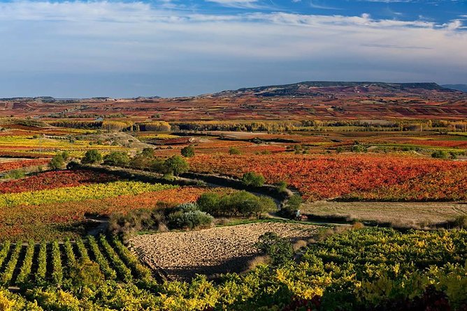 Rioja Alavesa Wineries and Medieval Villages Day Trip - Touring Medieval Villages