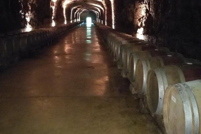Rioja Wine Private Tour From San Sebastian - Traveler Feedback Highlights