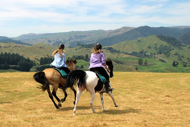 River Valley Stables - Burn The Breeze, Half Day Horse Ride For Riders - Gear Up for the Adventure