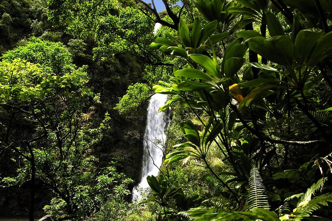 Road to Hana Luxury Limo-Van Tour With Helicopter Flight - Tour Guides and Expertise