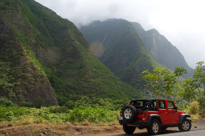 Road To Hana: Maui Waterfall Hiking Tour in Private Jeep - Traveler Testimonials