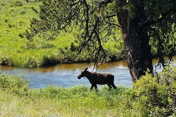 Rocky Mountain National Park and Estes Park Tour From Denver Winter and Spring - Itinerary Highlights for the Tour