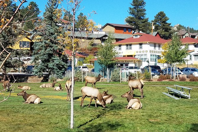 Rocky Mountain National Park in Summer Tour From Denver - Itinerary Details