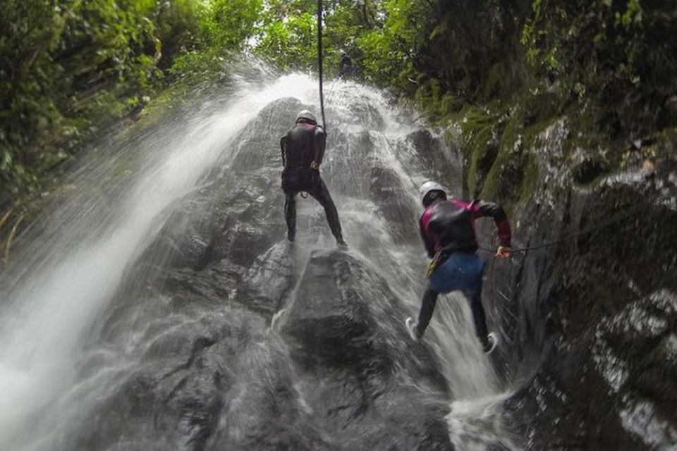 Roseau: Canyoning Discovery Tour - Experience Highlights