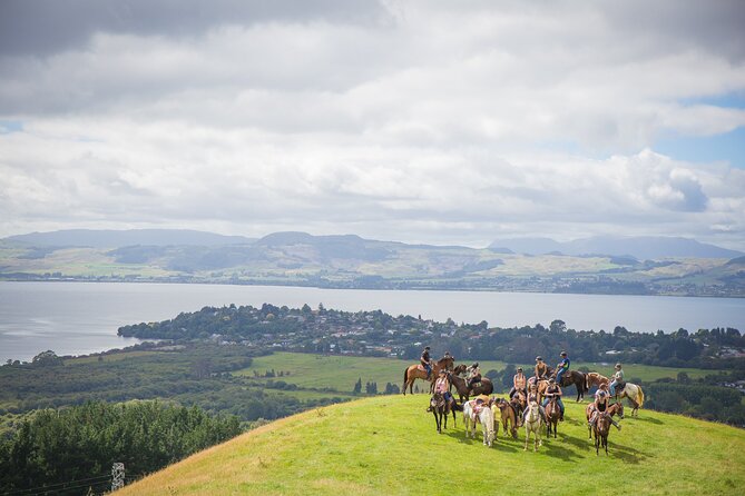 Rotorua 1-Hour Horseback Wilderness Tour - Horseback Riding Experience