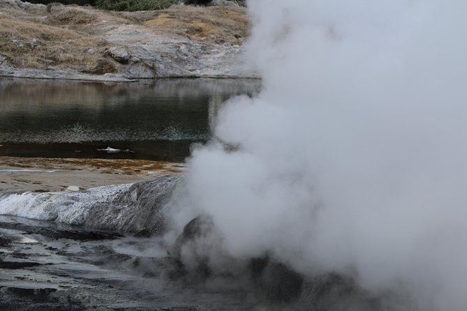 Rotorua and Waitomo Caves Day Trip From Auckland -Smaller Groups - Small Group Experience Benefits